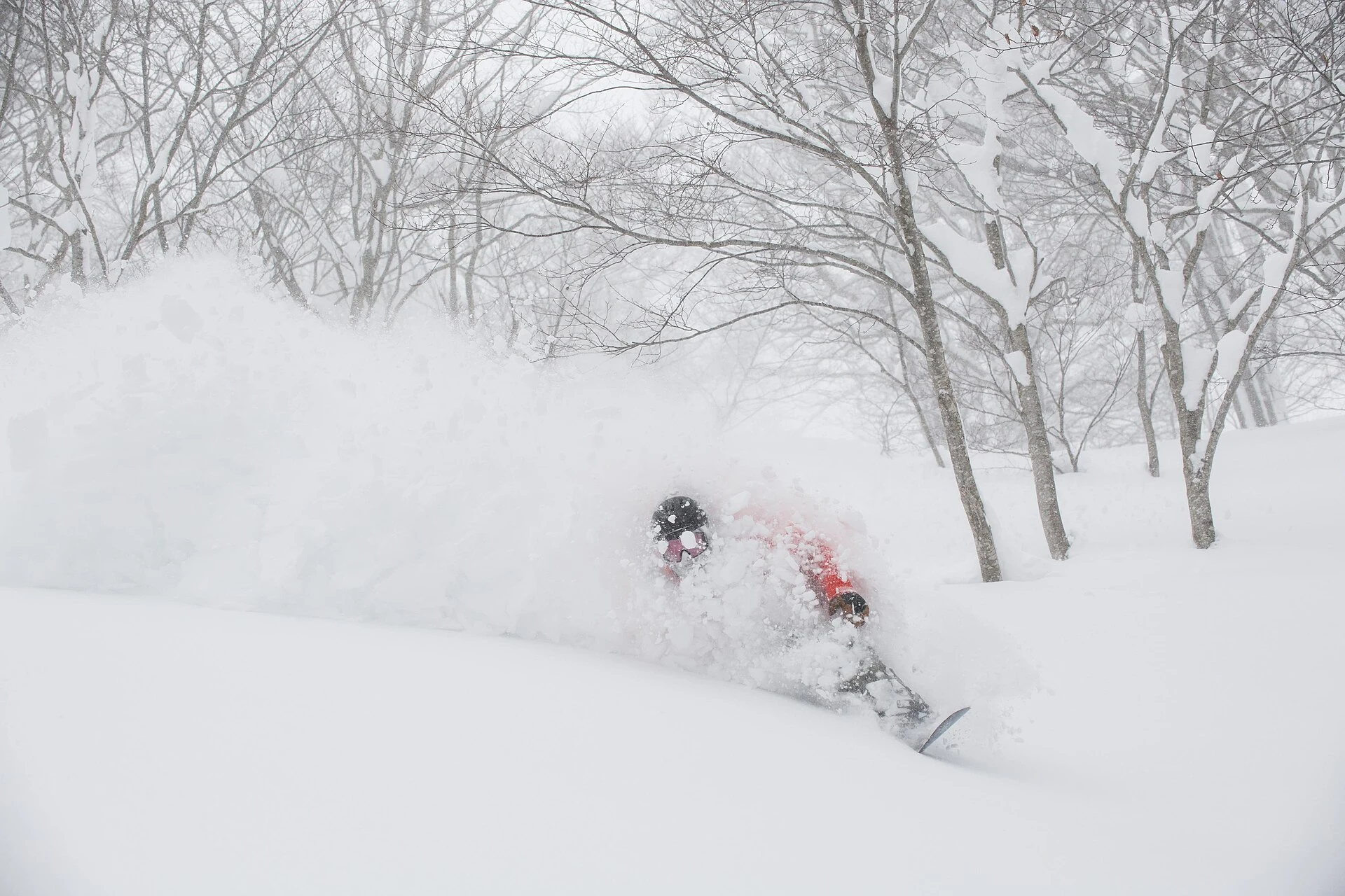 A snowboarder charging through deep powder in a Japanese tree run.
